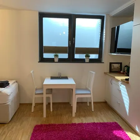 Private, Dog-friendly Room- Easy Access To City Centre And Trade Fair- Free Parking Munich