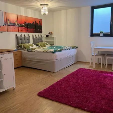아파트 Private, Dog-friendly Room- Easy Access To City Centre And Trade Fair- Free Parking 뮌헨